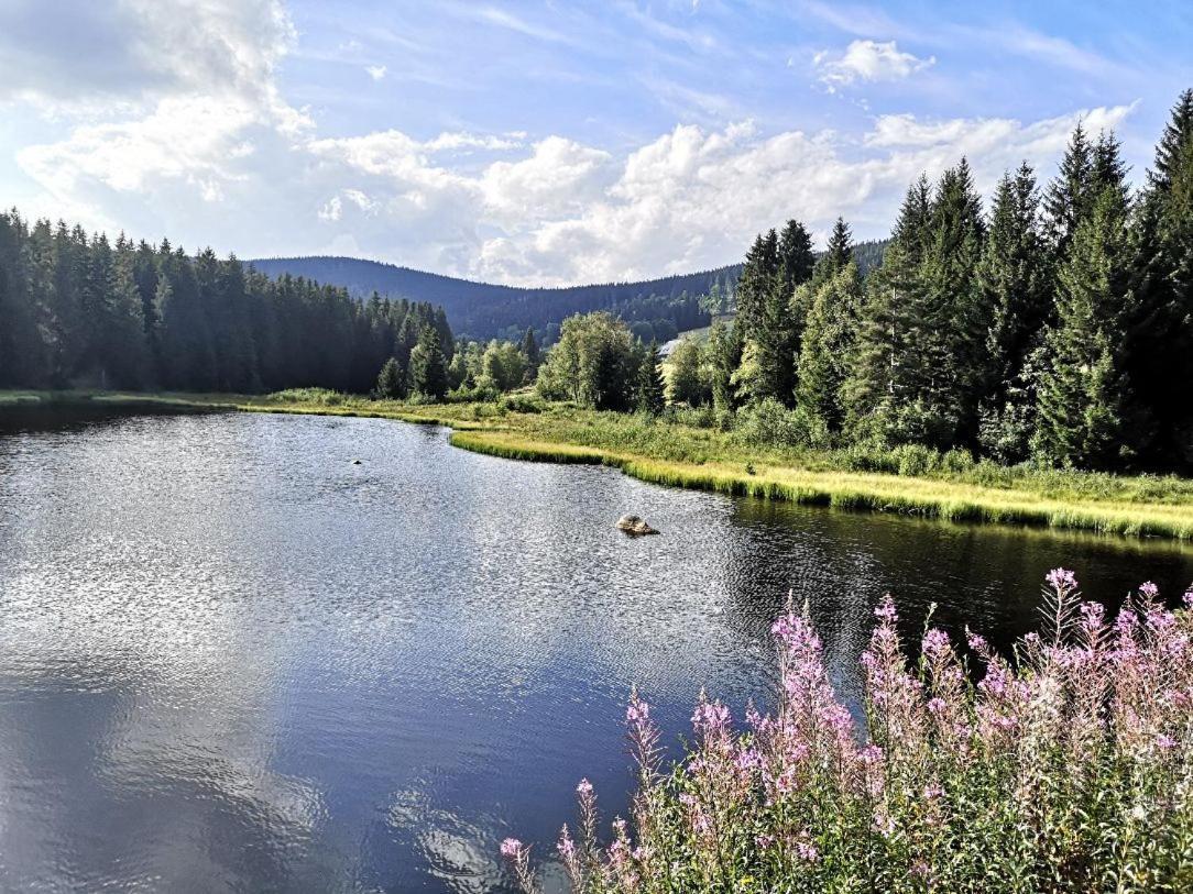 C1 Albmatte-Fewo Sauna, Hallenbad Aussenbecken Massagen Nebenan Menzenschwand Exterior foto