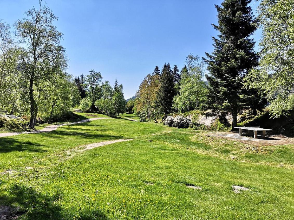 C1 Albmatte-Fewo Sauna, Hallenbad Aussenbecken Massagen Nebenan Menzenschwand Exterior foto