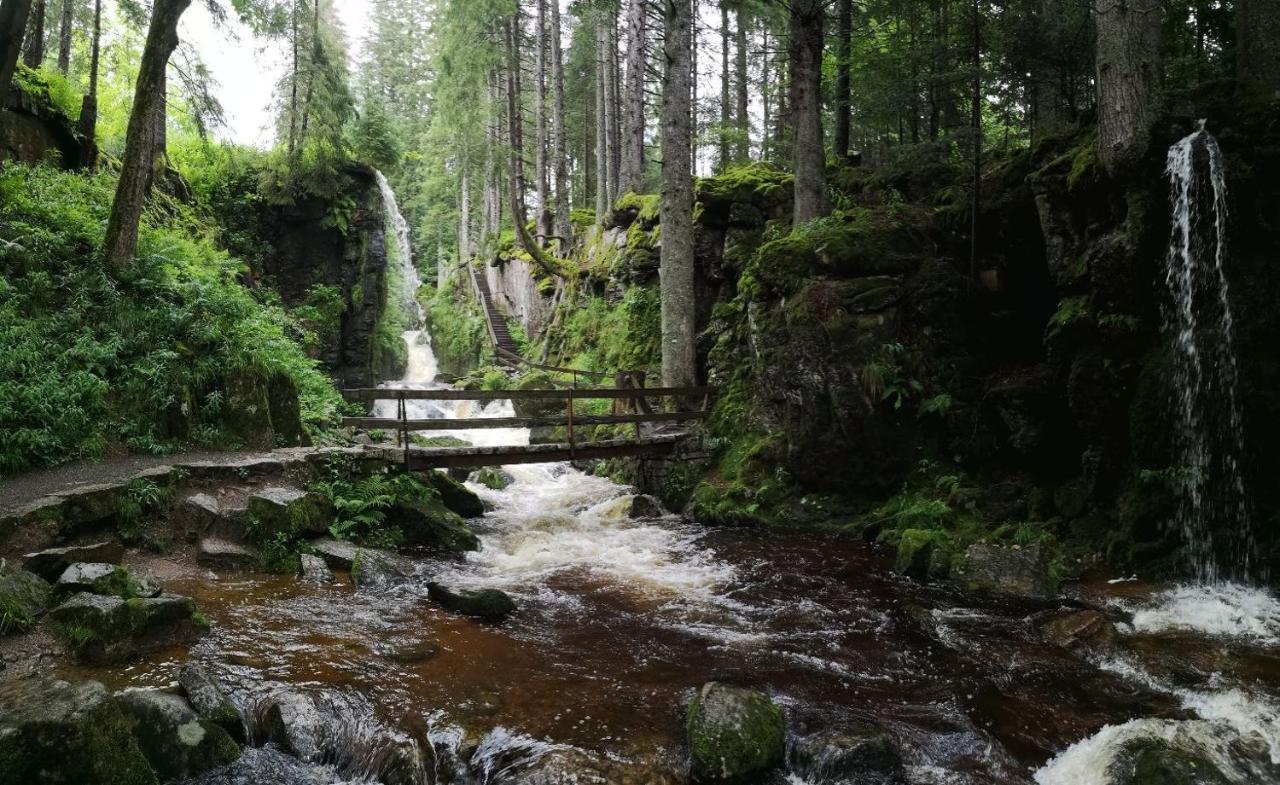 C1 Albmatte-Fewo Sauna, Hallenbad Aussenbecken Massagen Nebenan Menzenschwand Exterior foto