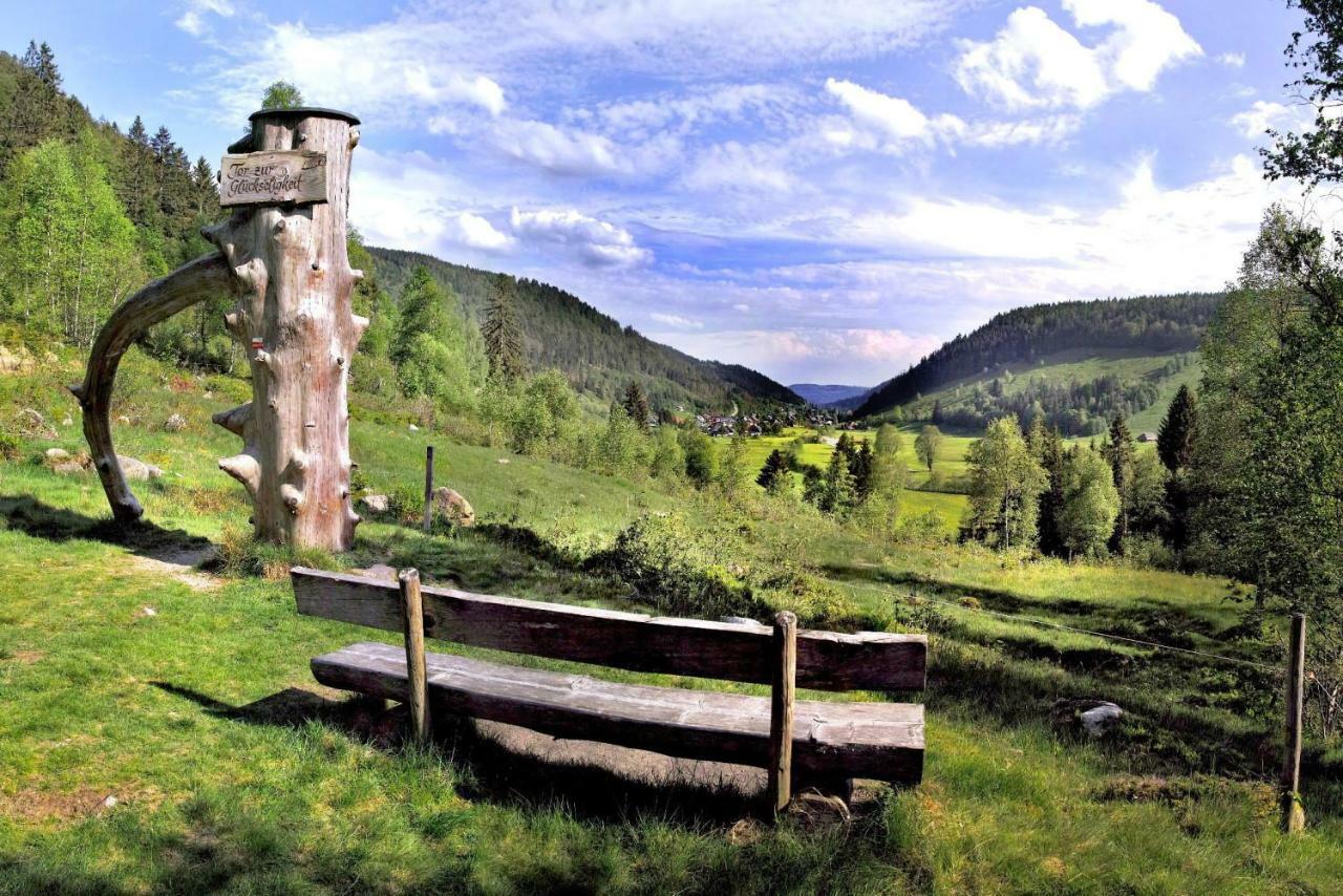 C1 Albmatte-Fewo Sauna, Hallenbad Aussenbecken Massagen Nebenan Menzenschwand Exterior foto