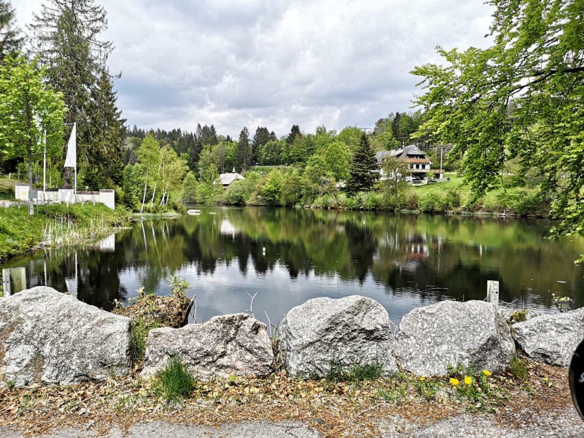 C1 Albmatte-Fewo Sauna, Hallenbad Aussenbecken Massagen Nebenan Menzenschwand Exterior foto