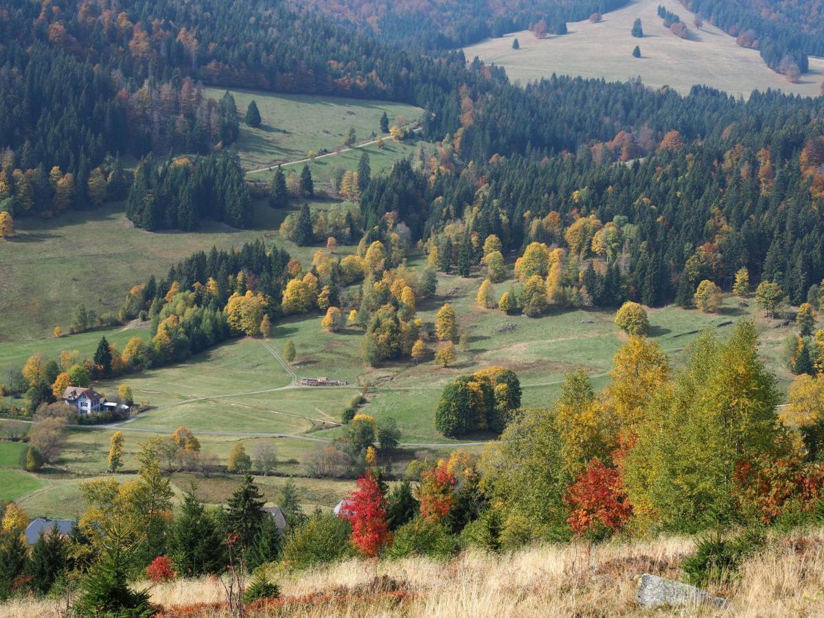 C1 Albmatte-Fewo Sauna, Hallenbad Aussenbecken Massagen Nebenan Menzenschwand Exterior foto